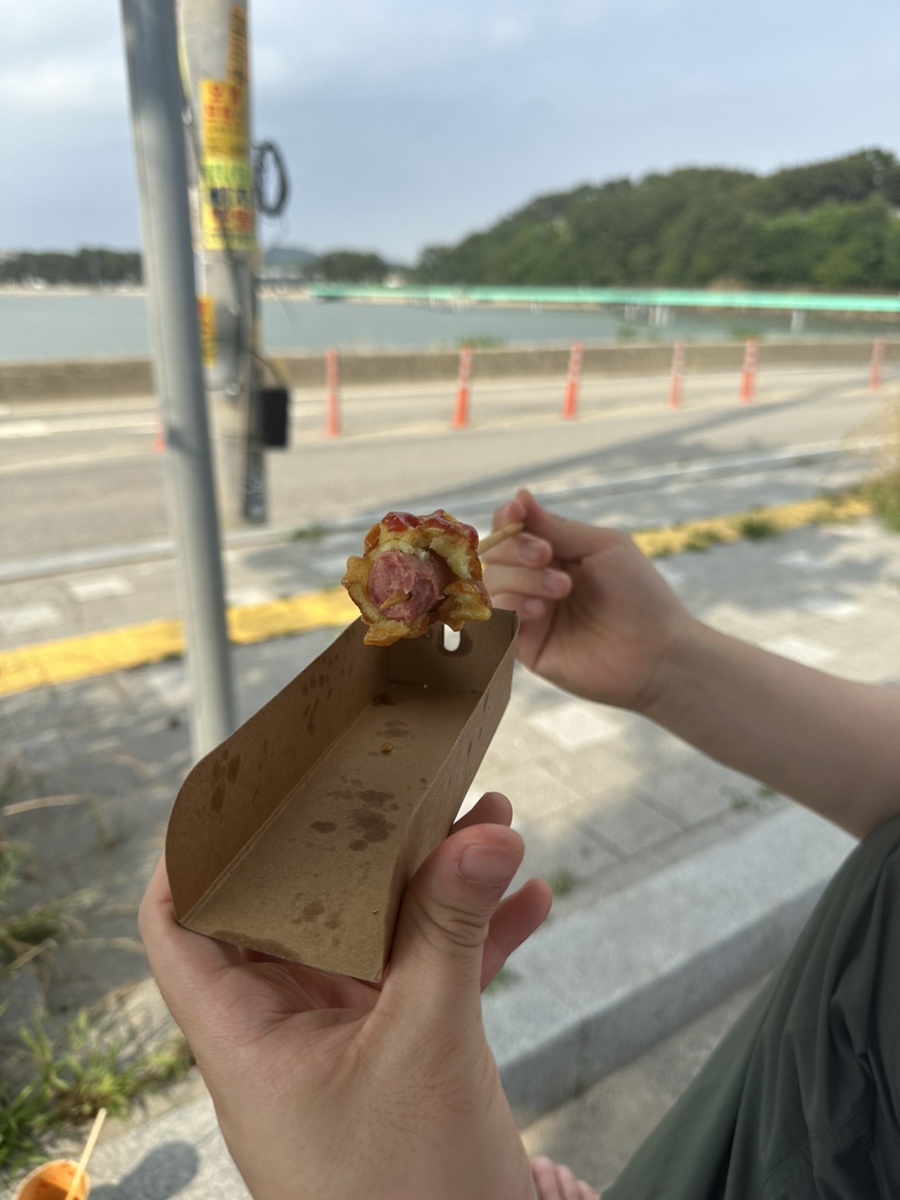 궁평항3호 이미지