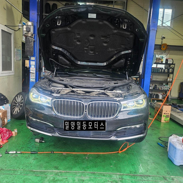 엔젤카센타 이미지