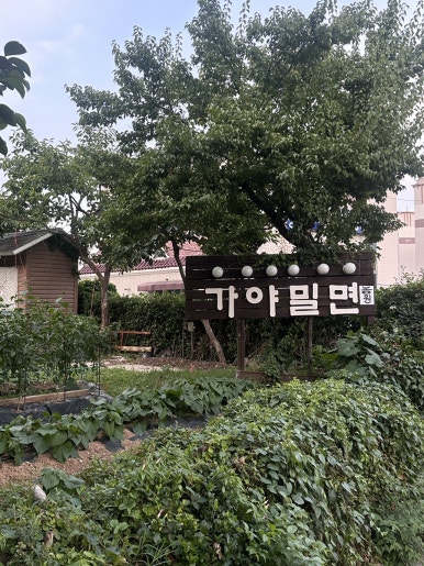 가야난농원 이미지