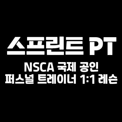 스프린트PT 이미지