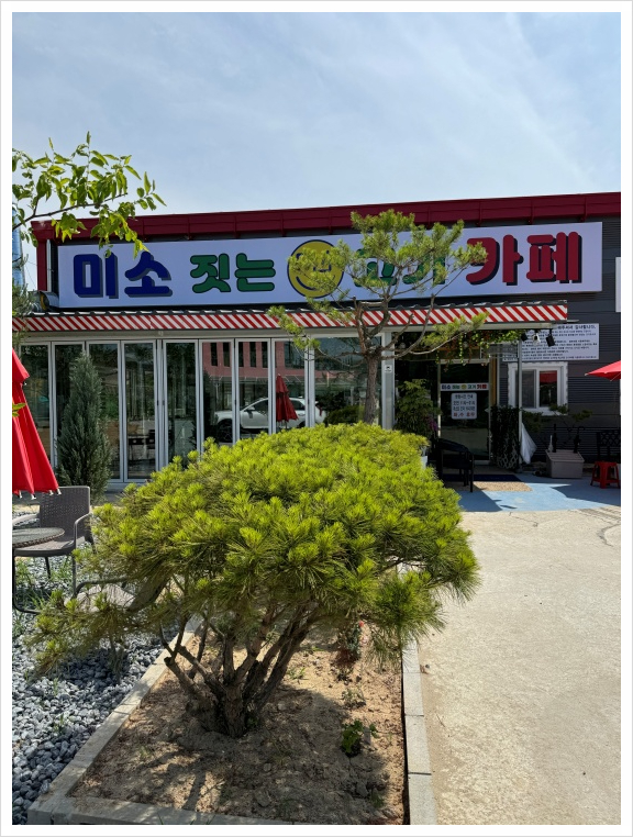 미소짓는돼지 이미지