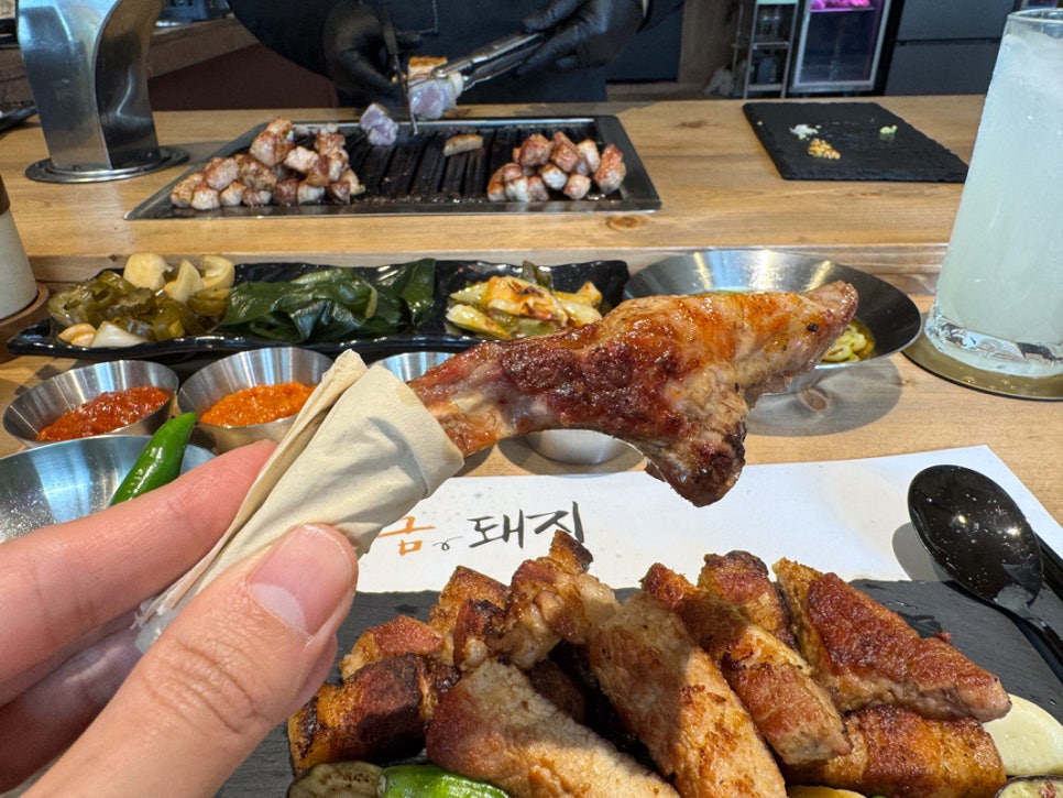 지금,돼지 이미지