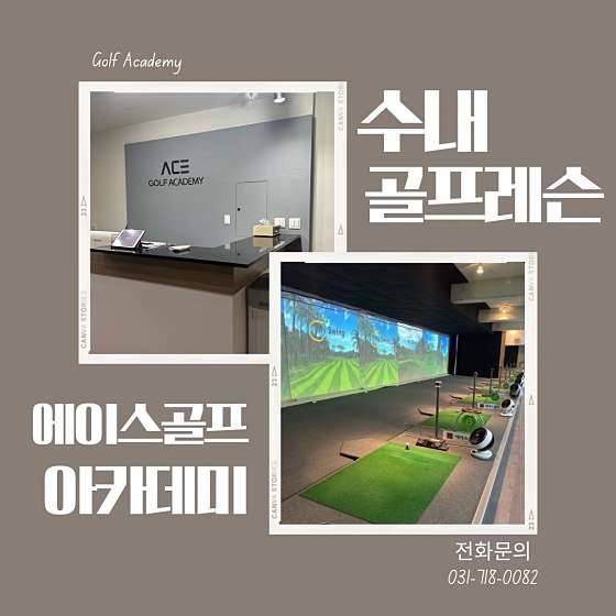 에이스골프 이미지
