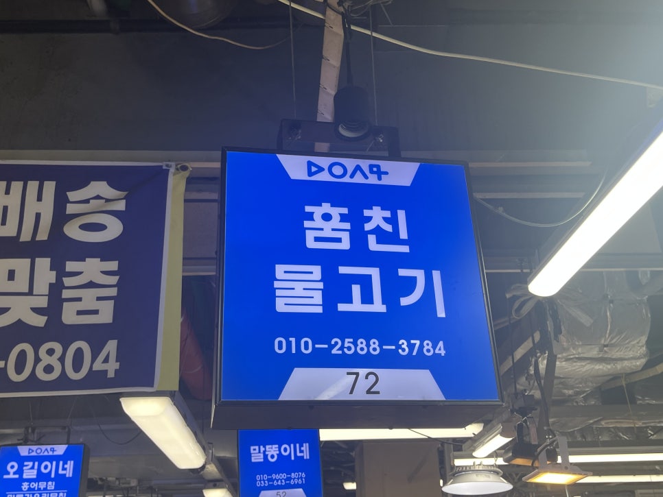 훔친물고기오늘바다에서 이미지