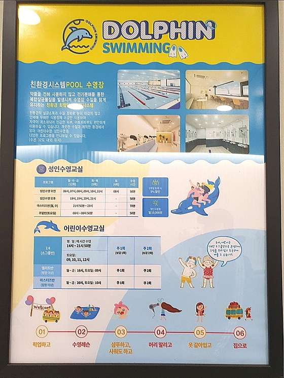 돌핀수영 이미지