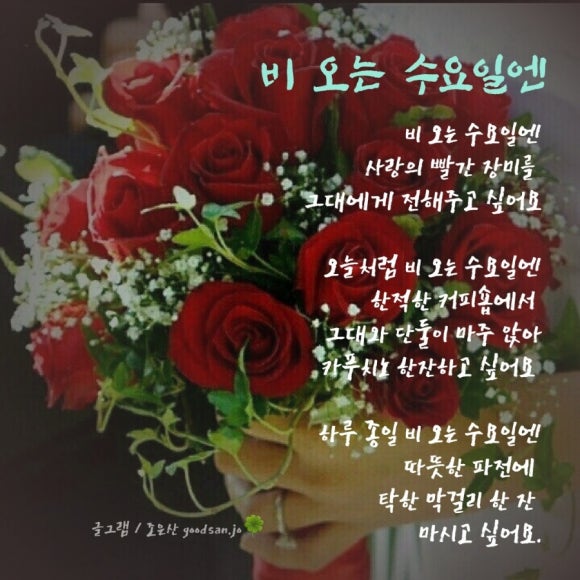 수요일꽃집 이미지
