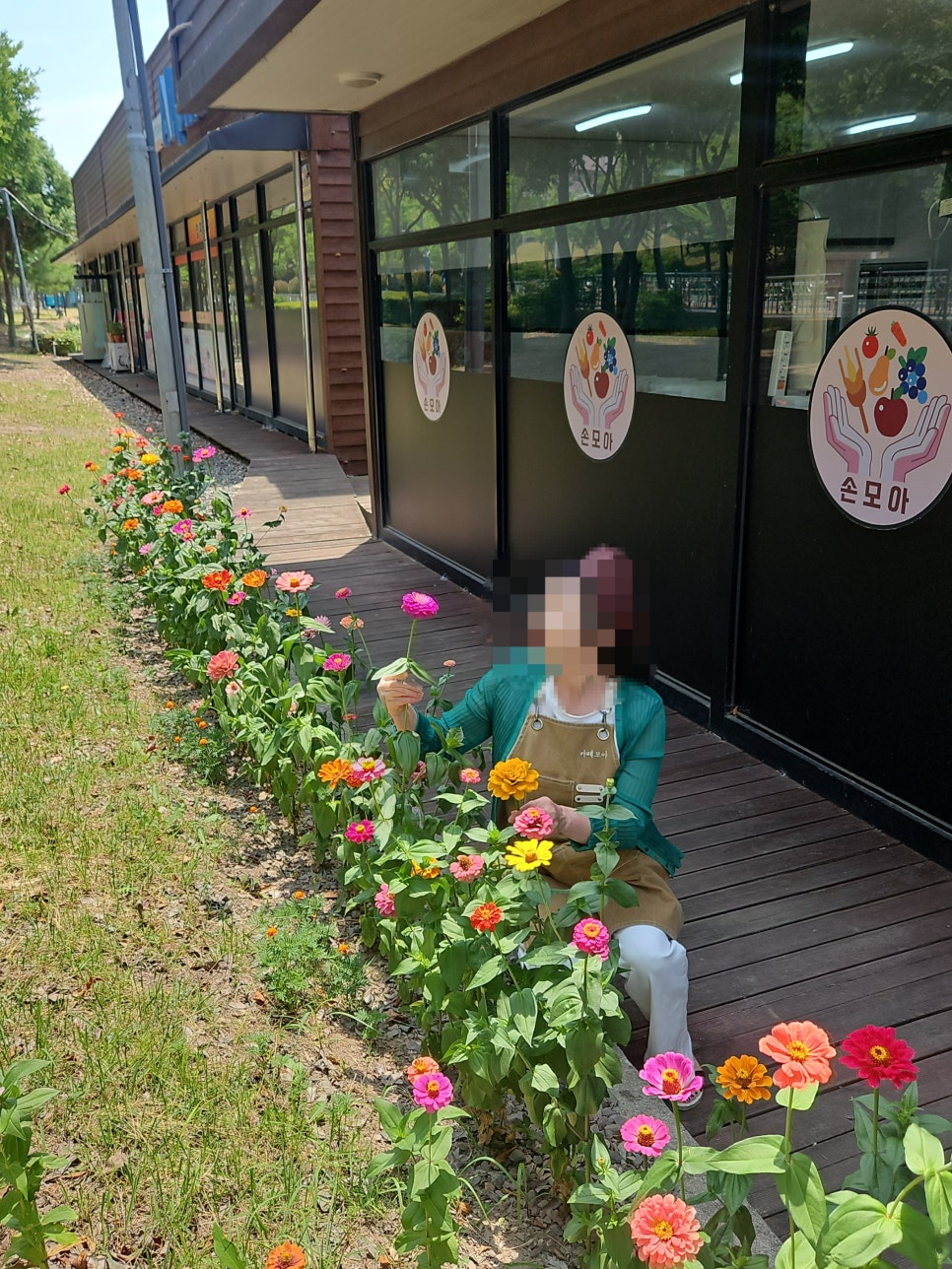 실버손모아 이미지