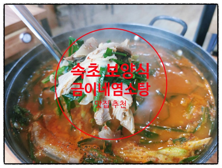 영랑로2길 이미지