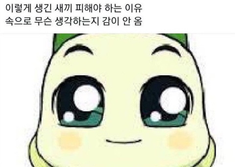 밥먹고 술먹고 이미지