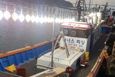 초이스피싱 이미지