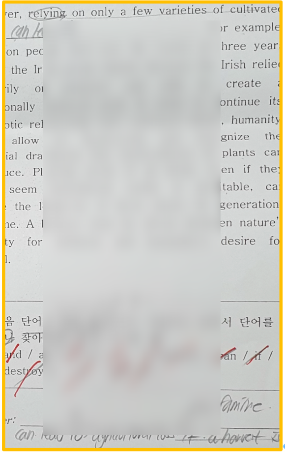 석정양만 이미지
