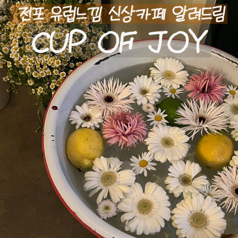 컵오브조이 이미지
