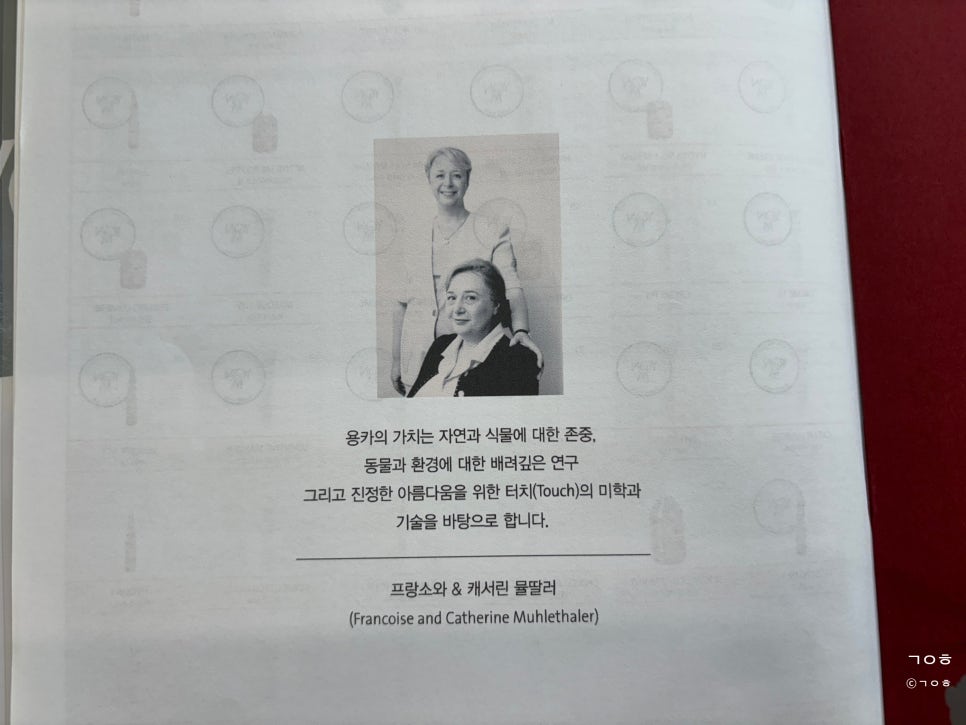 선에스테틱 이미지