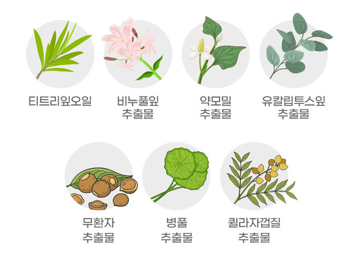 리코바디 이미지