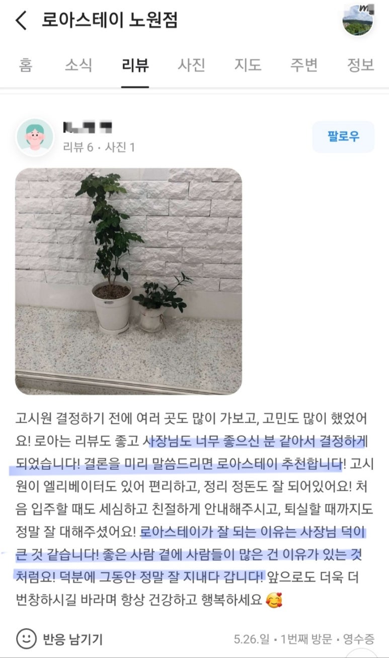 스테이하하하 이미지