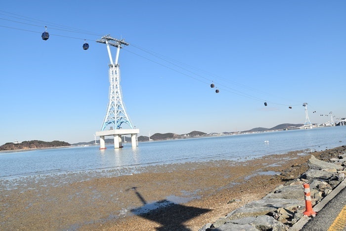 제부도손칼국수 이미지