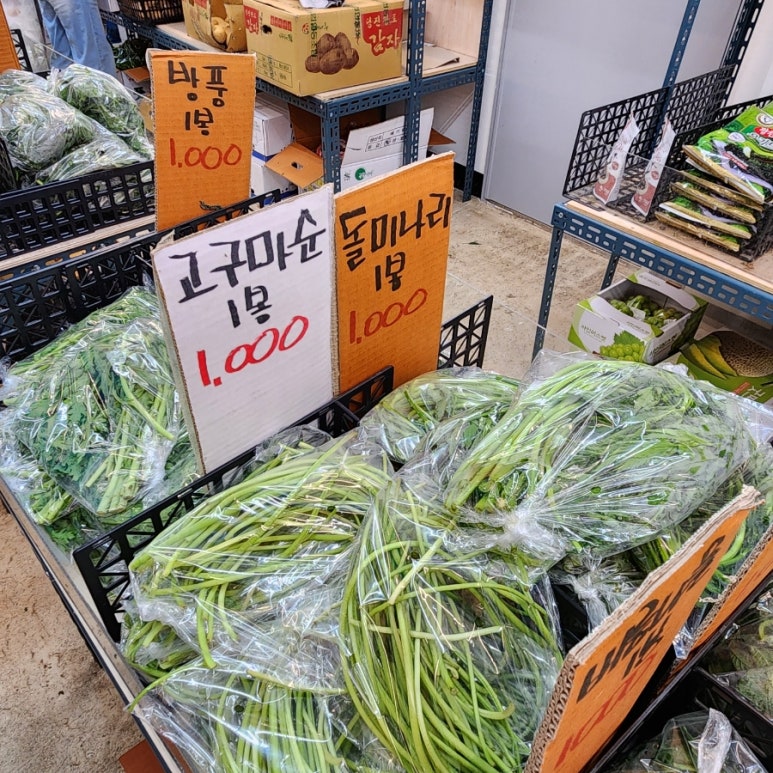 곰돌이청과 이미지