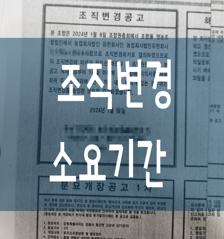 농업회사법인 주식회사 청산 이미지