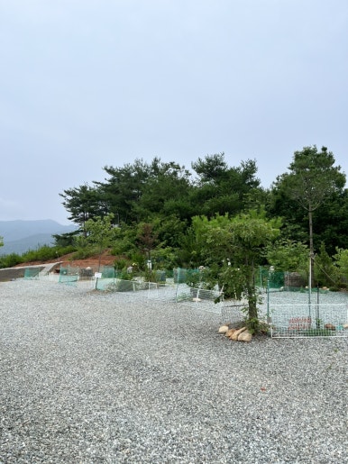 홍천태극캠핑장 이미지