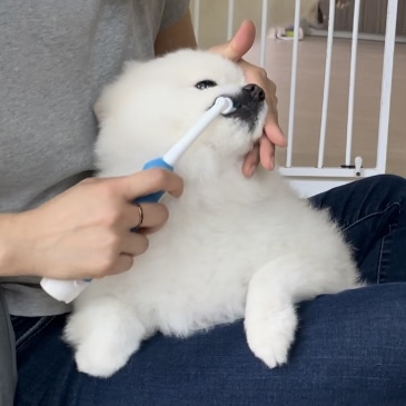 청려원 이미지