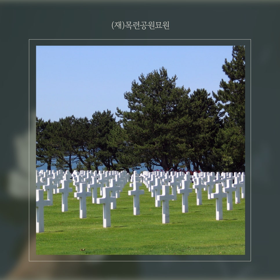 법인청계원 이미지