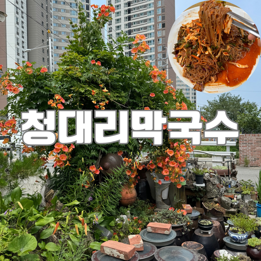 청대리막국수 이미지