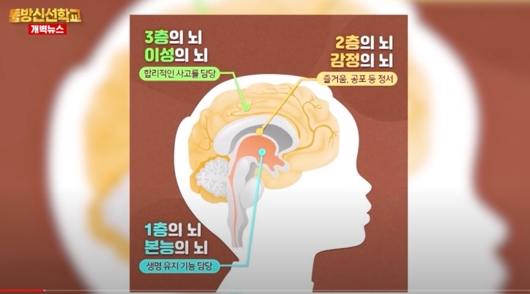 정광콘트롤 이미지