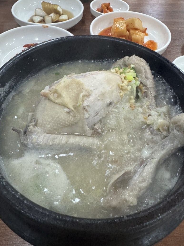 건륭윙바디 이미지