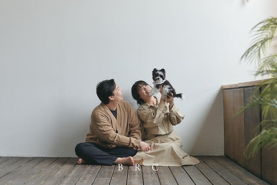 브로콜리스튜디오 이미지