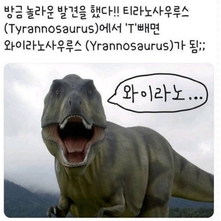 (주)담음 이미지