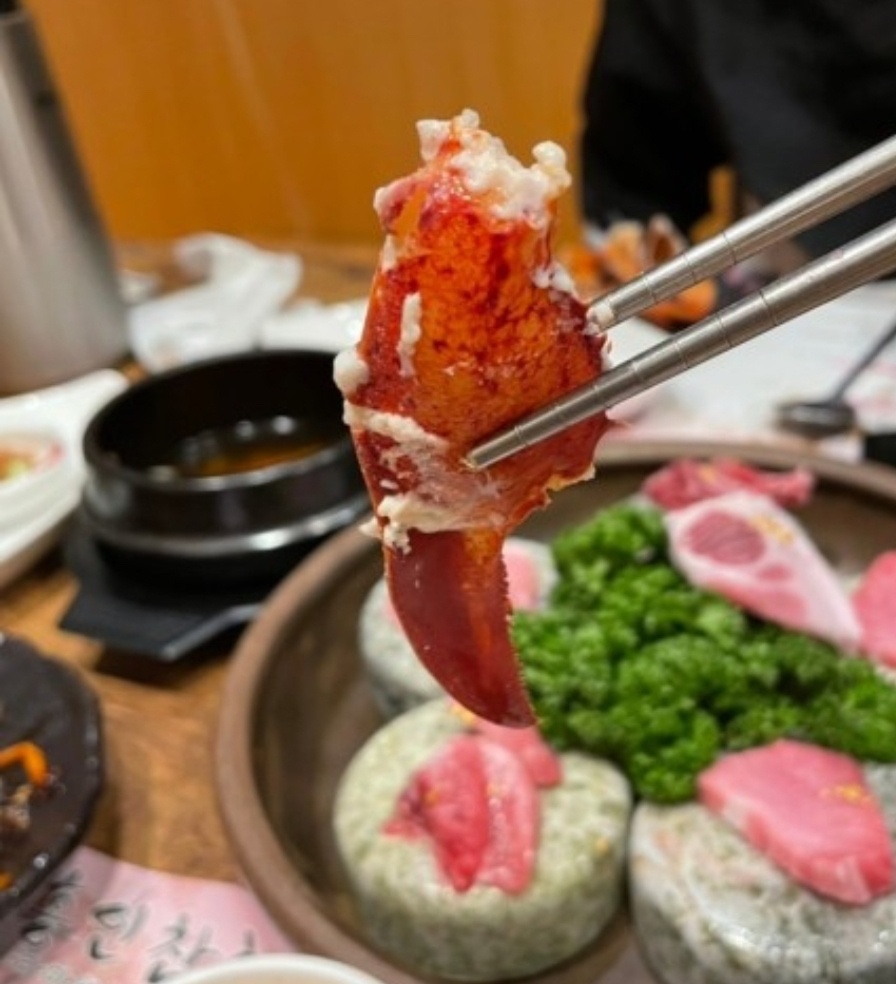 홍인참치 이미지