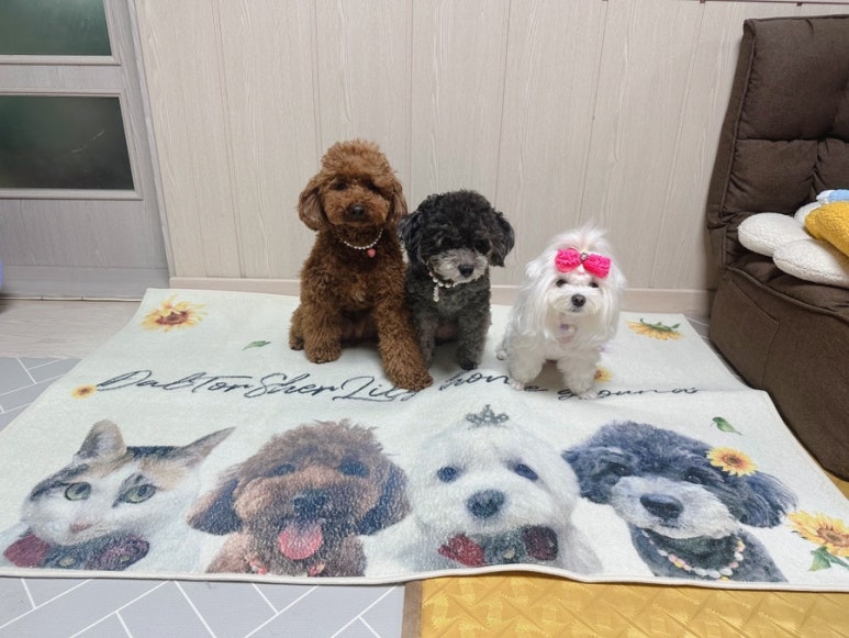 아이러그유 이미지