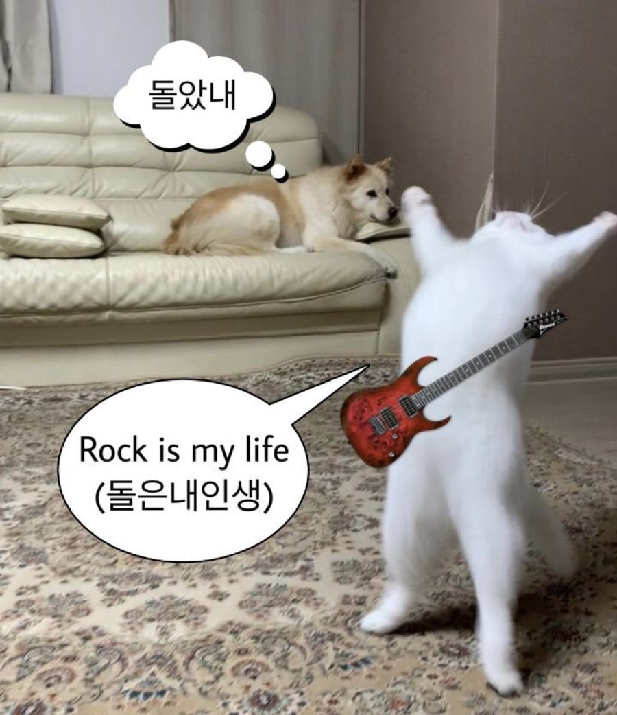 부안제빵소 이미지