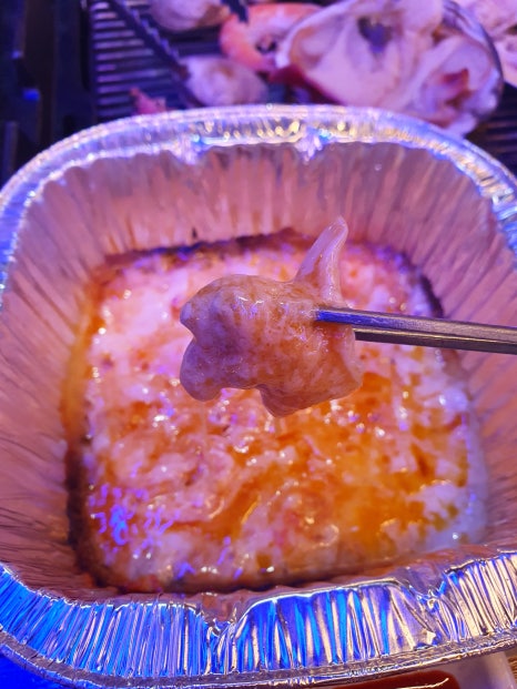 삼척해변별난조개 이미지