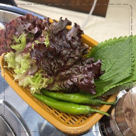 냅다청양집전주 이미지