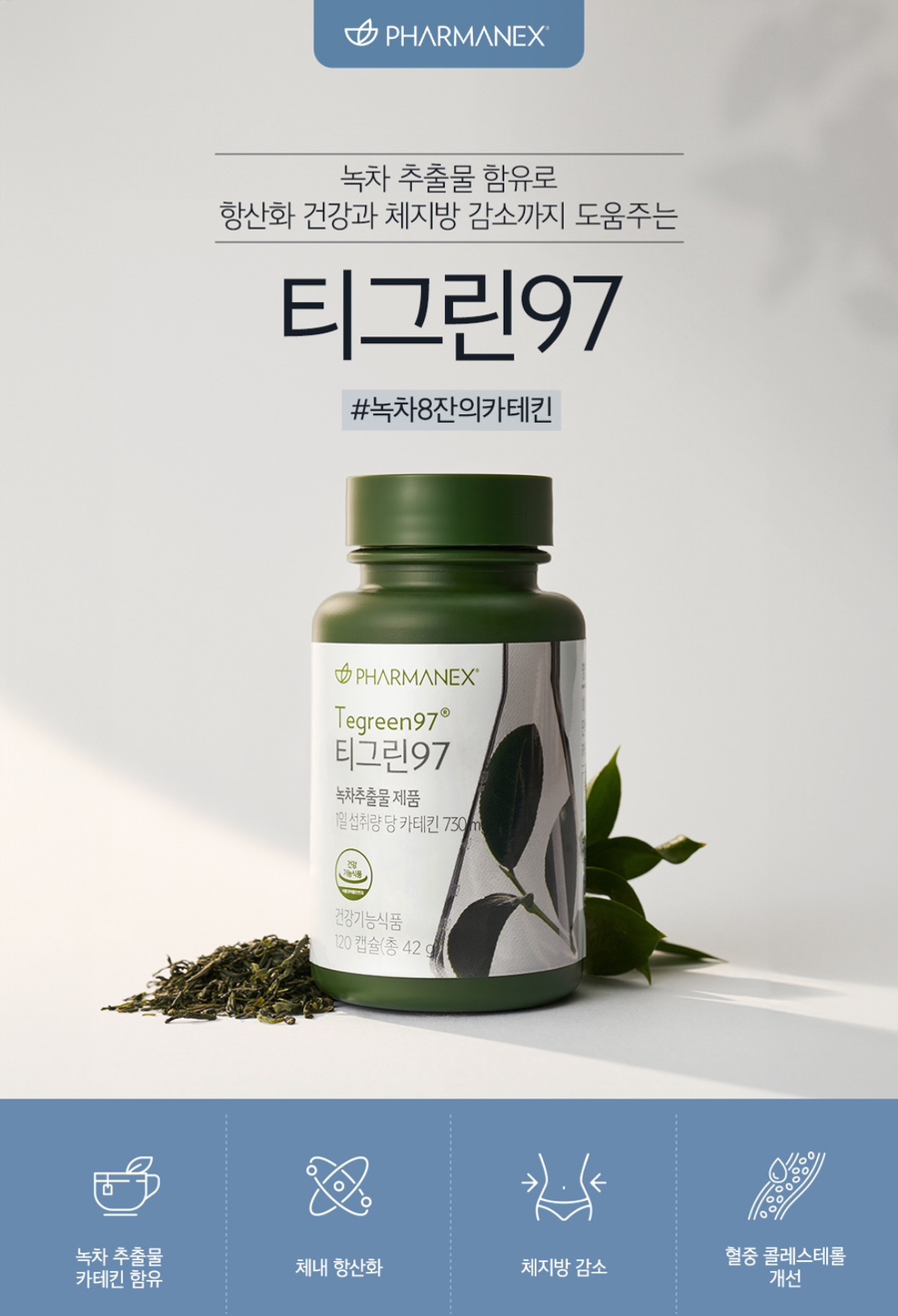 티그린 이미지