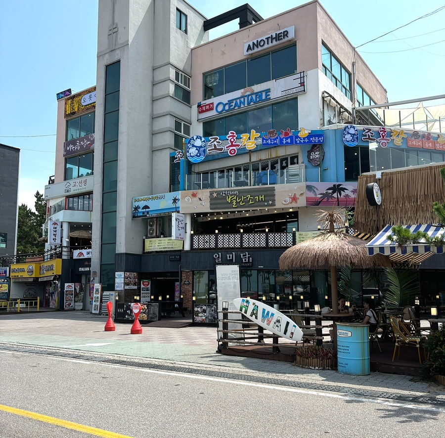 삼척해변별난조개 이미지