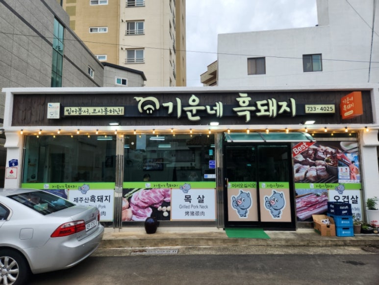 기운네흑돼지 이미지