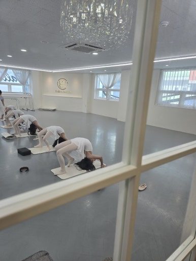 발레비솔르무용학원 이미지