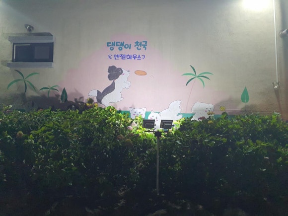 엔젤하우스 이미지