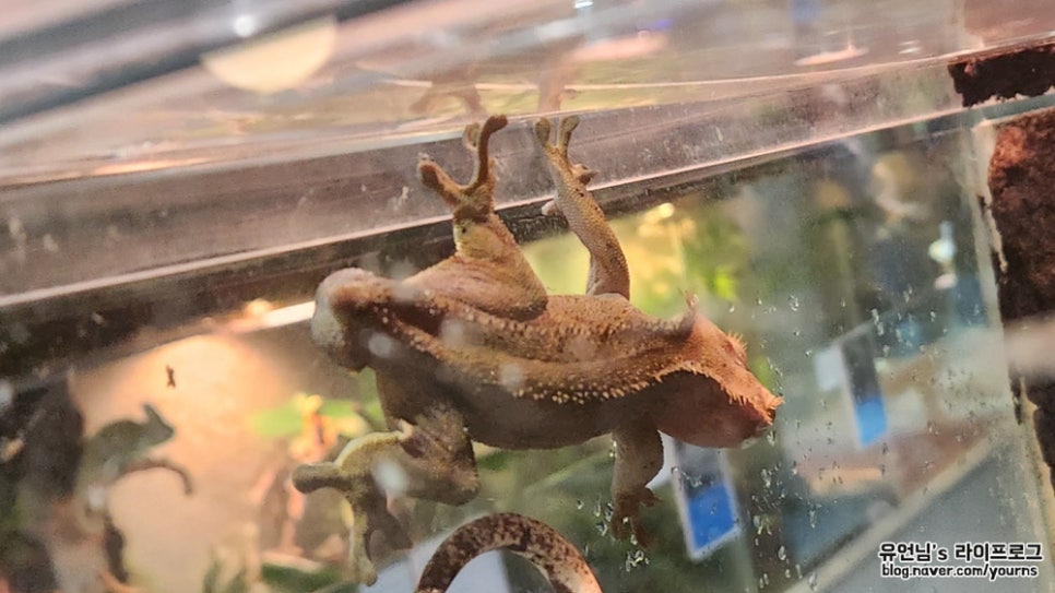 (주)크레푸드 이미지