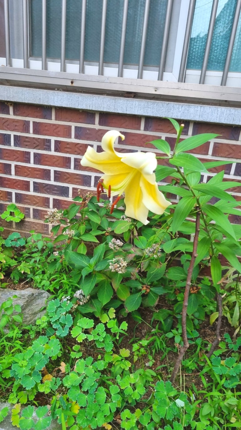 구백냥 곱창(주엽점) 이미지