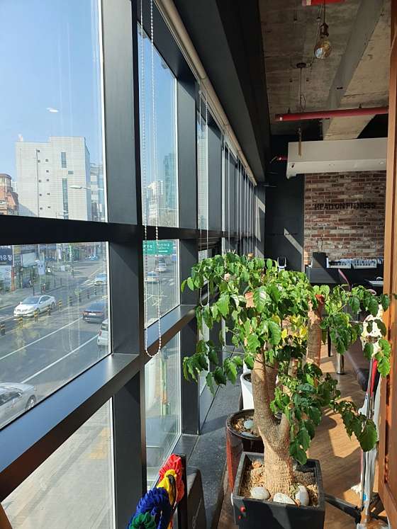 피트니스온서울 이미지