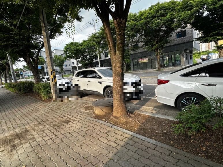 앞산옻닭앞산생오리마을 이미지