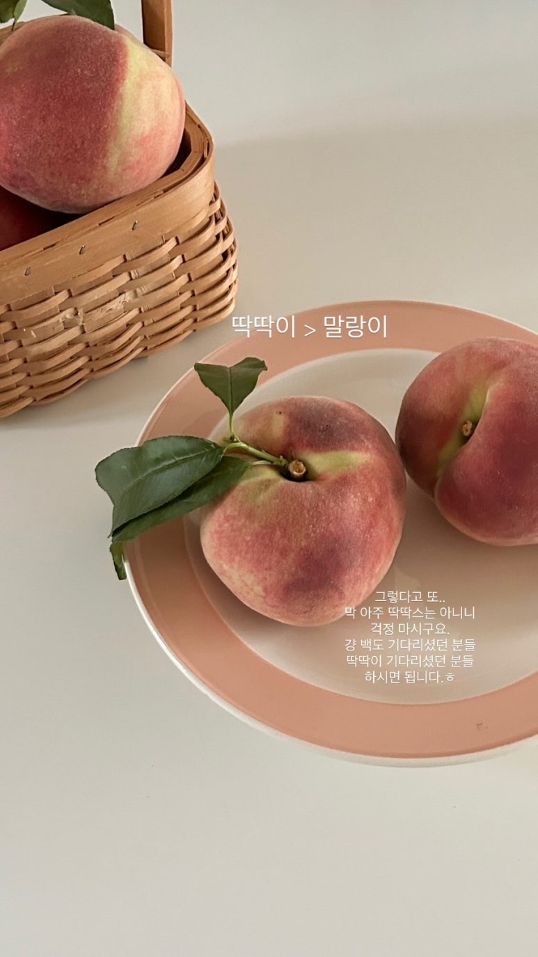 칠월애 이미지