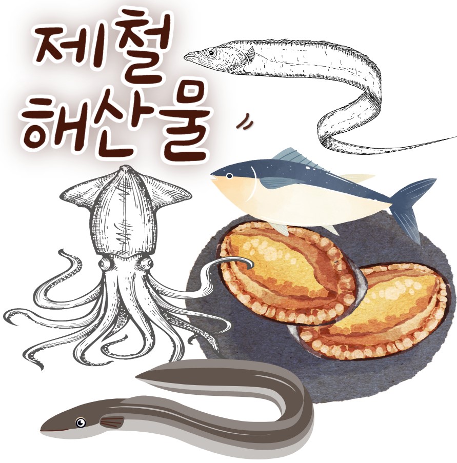 비타민여행사 이미지