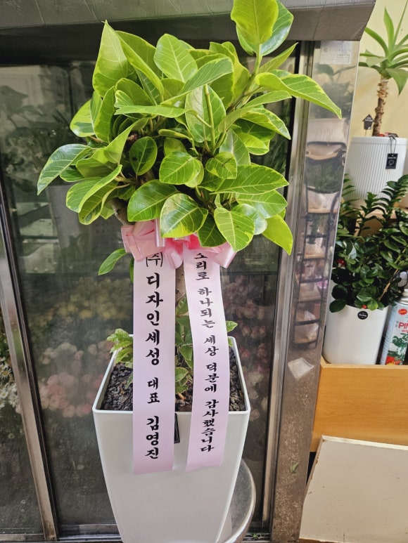 디자인세성주 이미지