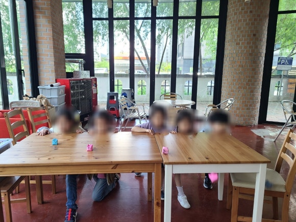 하버드앵무새카페 이미지