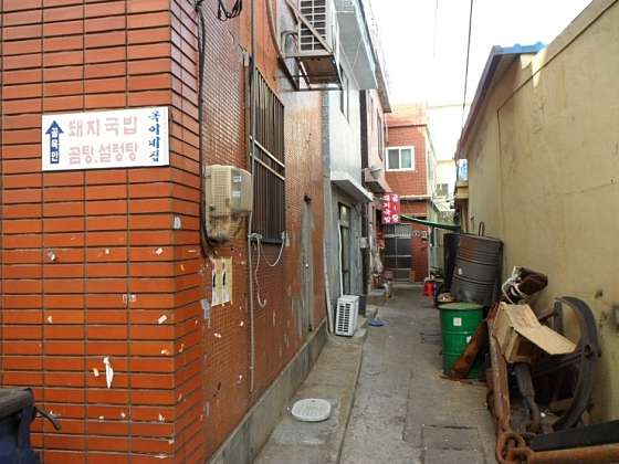 옥이네 이미지