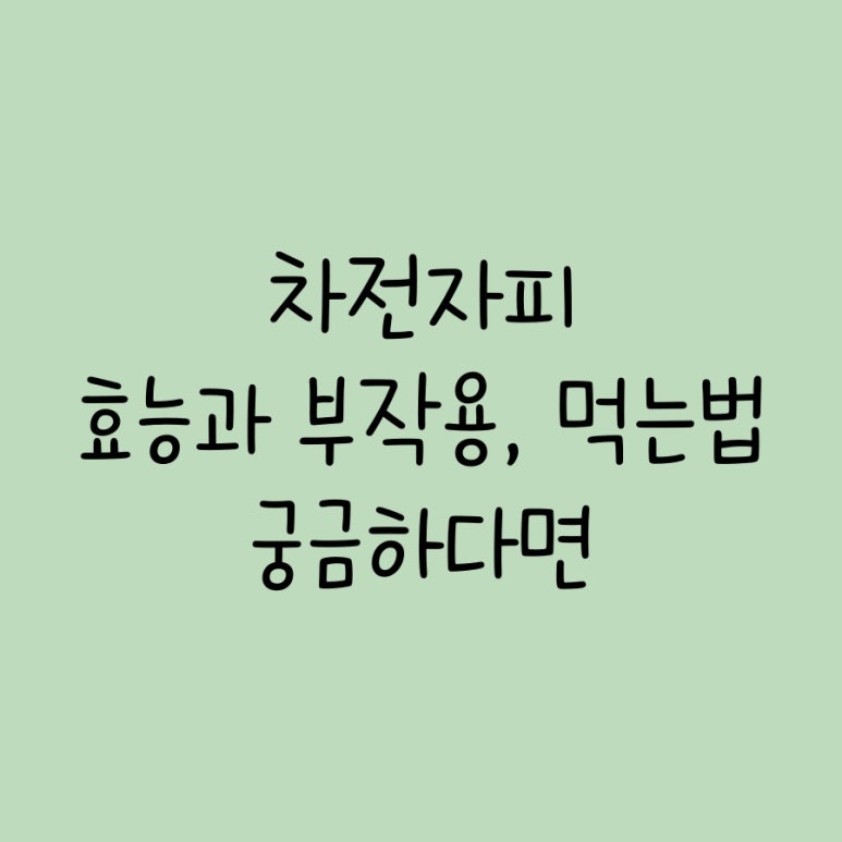 왕박식품 이미지